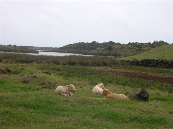 Sao Jorge Island 3