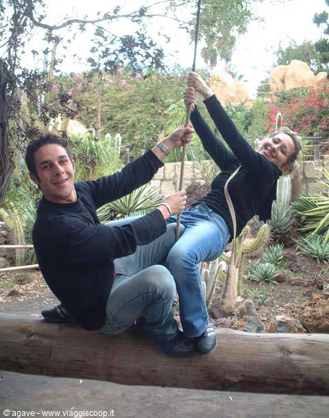 Fabienne and Ilario, I reckon they learned something from the monkeys :-)