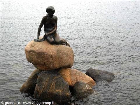 the little mermaid