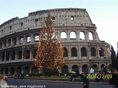Illuminated Christmas tree in front of the Colosseum in Rome, people walking by