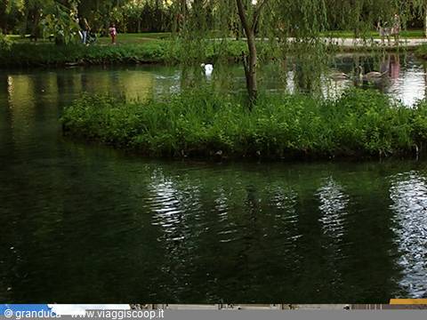 Small green island with weeping willow in a pond at Giardini Salvi park, Vicenza