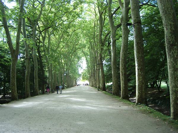 avenue