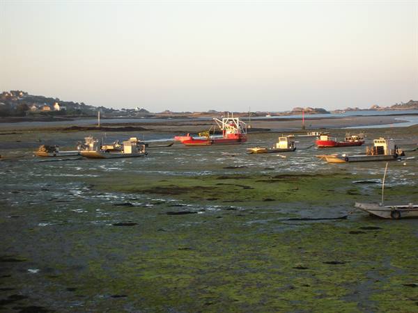 low tide
