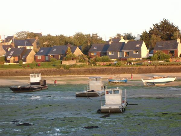 Boats stranded on seaweed-covered sand, slate-roofed houses in golden light