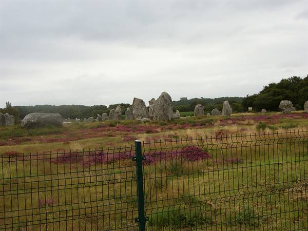megaliths and flowers