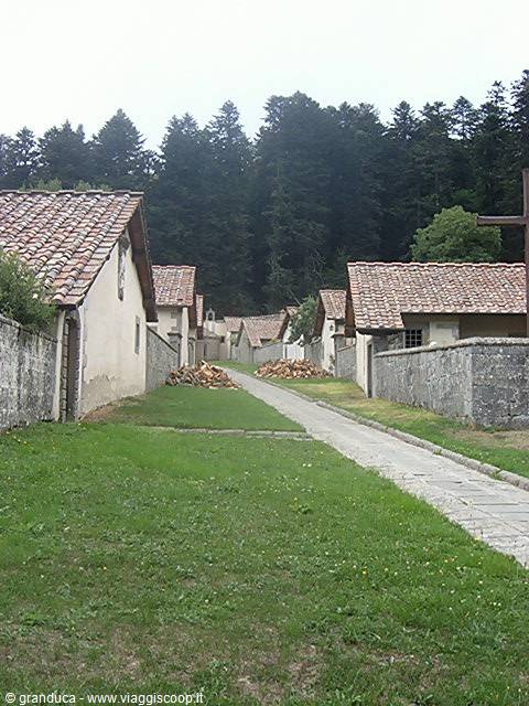 Monastic hermit huts with tiled roofs along the grassy path, Camaldoli hermitage