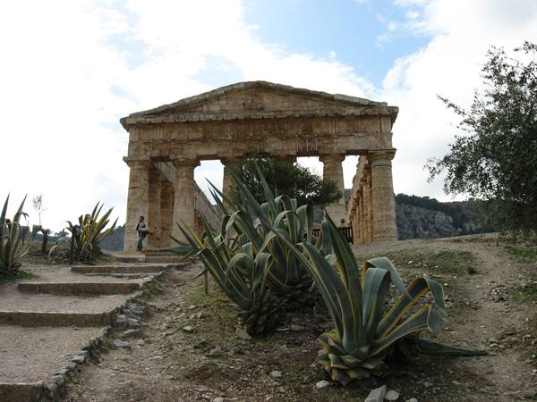 Segesta : the lonely temple