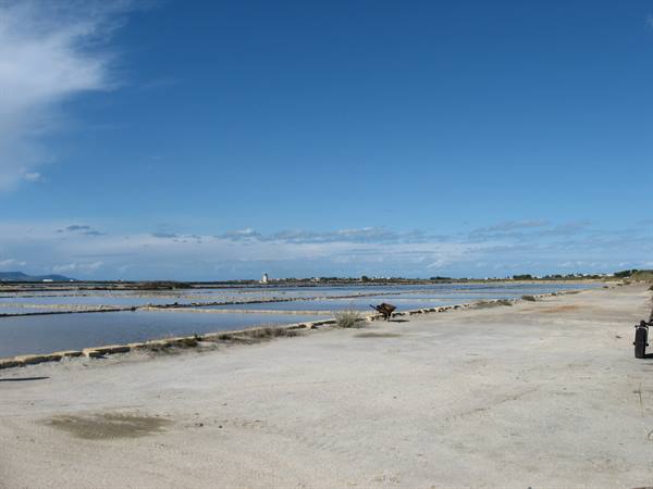 Mozia :the salt pans