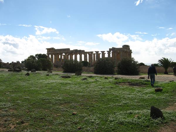 Selinunte : Temple amid the greenery