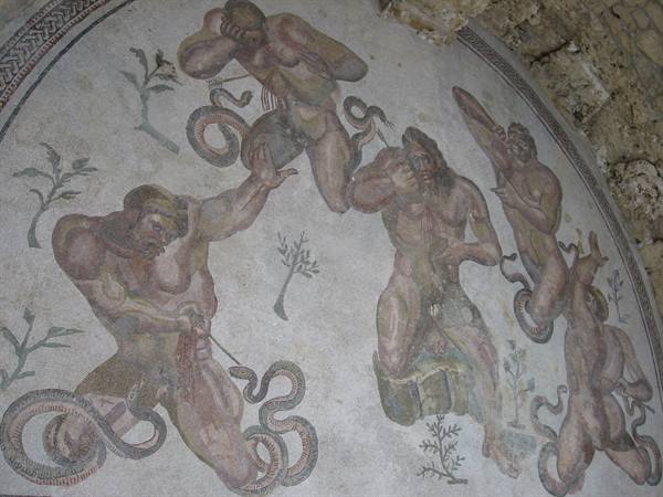 the Villa del Casale : mosaic