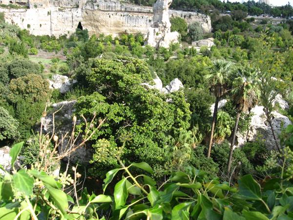Syracuse : the Latomia