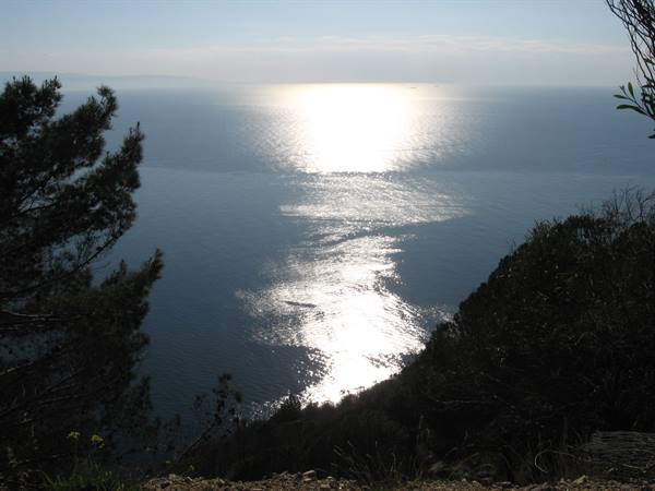 Sunlight reflects on the sea framed by pines and Mediterranean shrubs