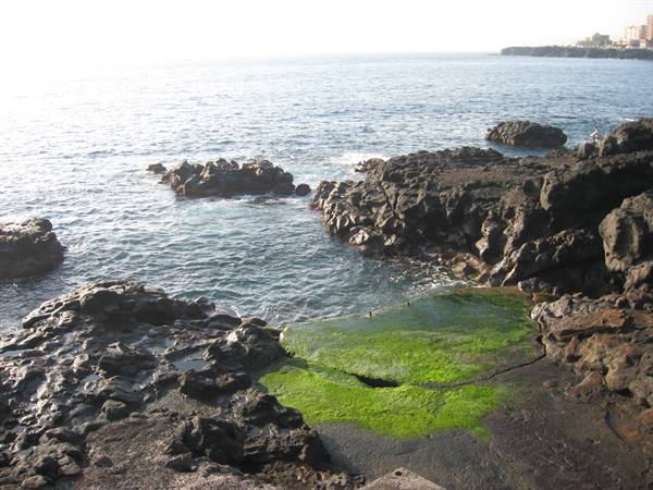The cliffs