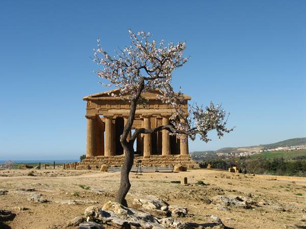 Temple of Concordia