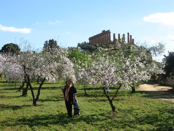 Temple of Juno