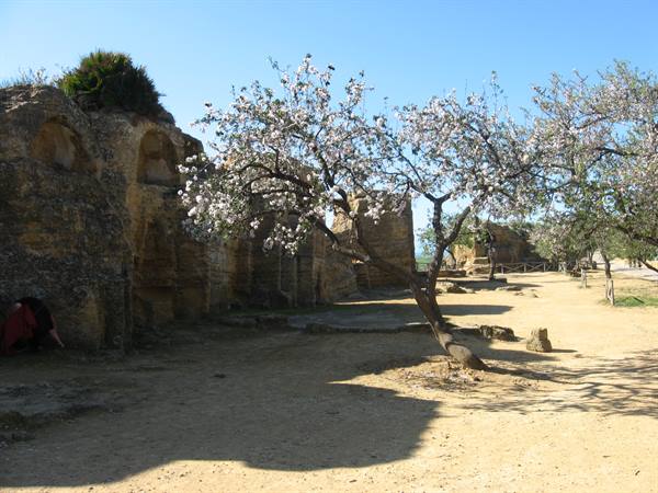 the Necropolis