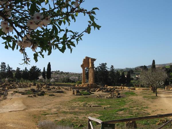 The Temple of the Dioscuri