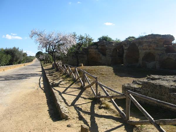 The Way of the Temples