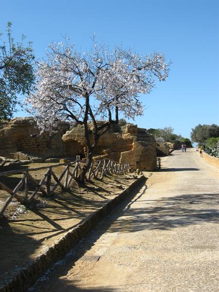 Way of the Temples