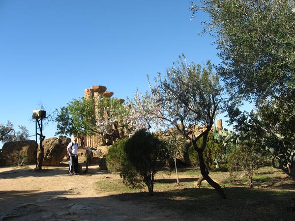 Temple of Hercules