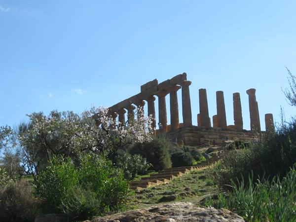 Temple of Juno