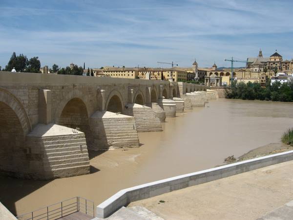 the bridge