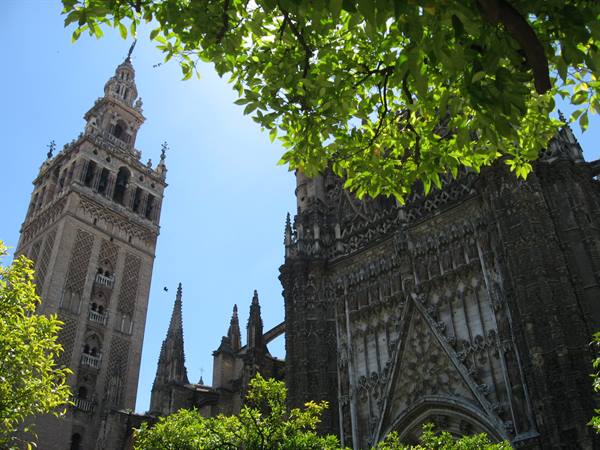 the cathedral and the Giralda