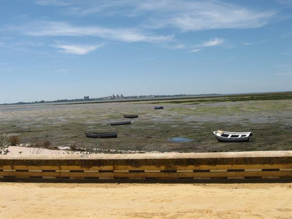 low tide
