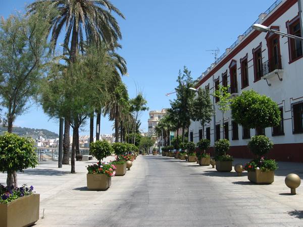 Palm-lined promenade with flower planters beside a white and red building, Málaga