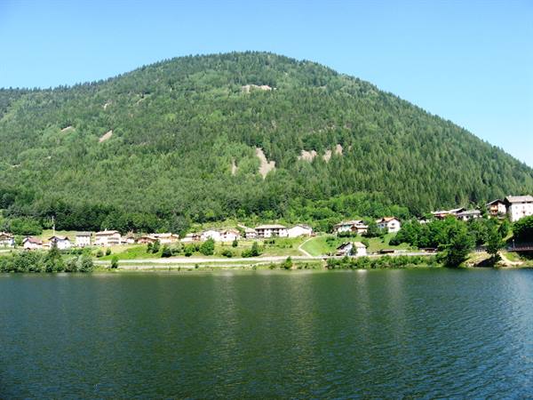 Mountain houses on the green lakeshore, conifer forest behind