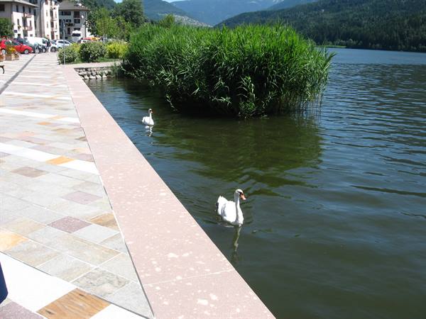 the lakeside