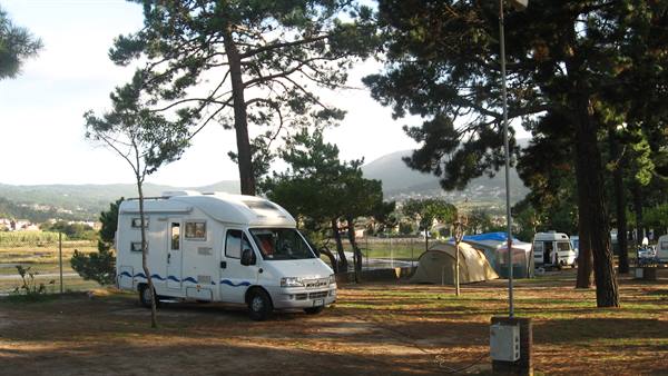 White camper van and tents among pine trees at a campground, hills behind