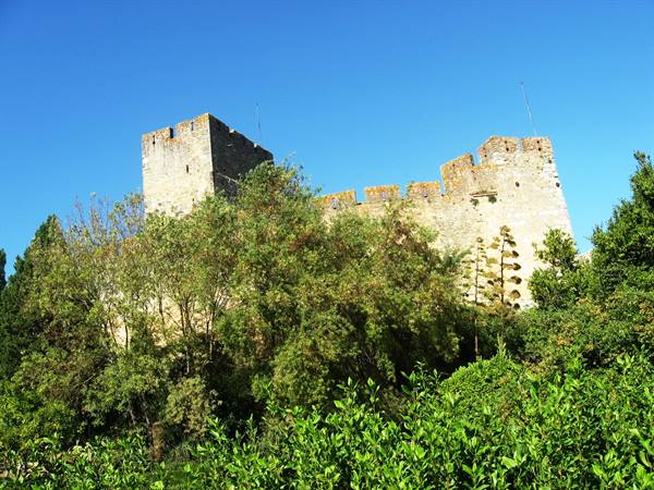 Stone crenellated walls and castle tower above green trees, blue sky
