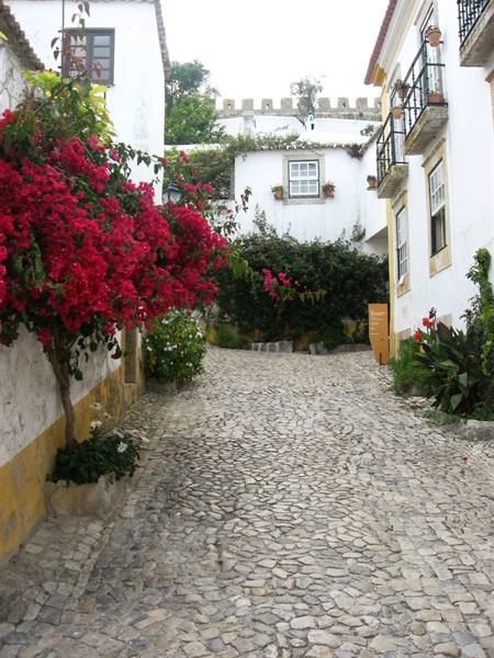 a flowery glimpse