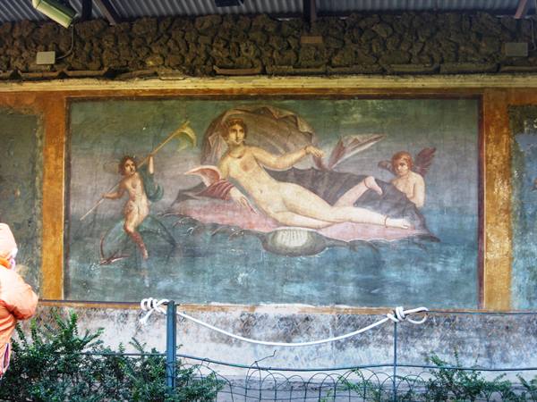 Pompeii the house of Venus