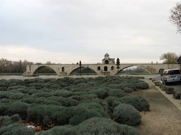 The bridge 