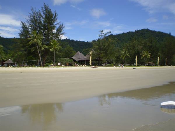 Wet sandy beach with palm trees and umbrellas under blue sky
