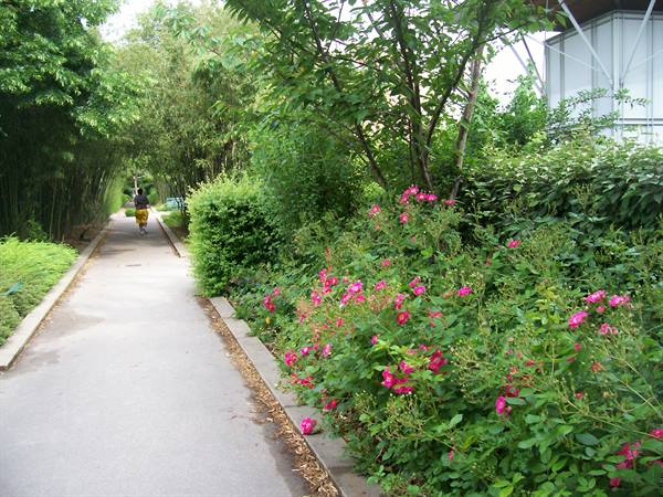 the Promenade plantee