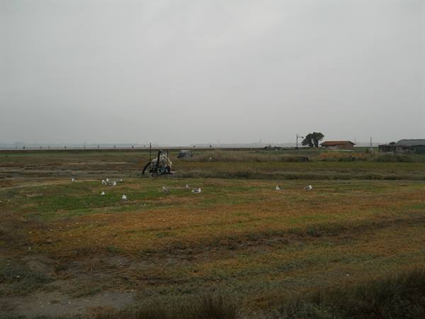 Sant'Erasmo