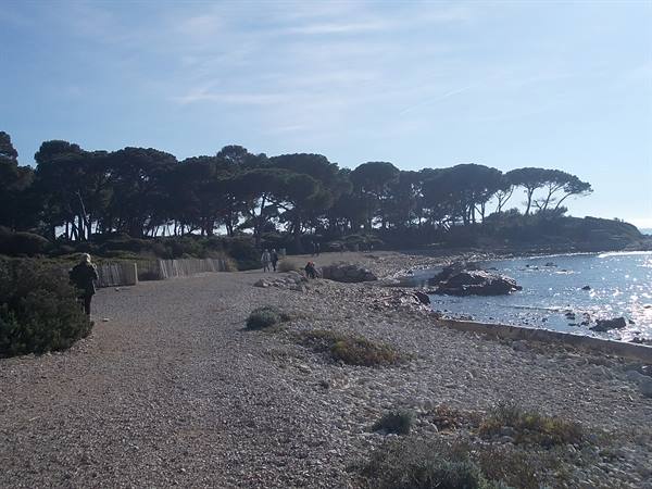 St. Marguerite island