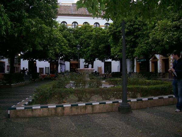 Seville Plaza Donna Elvira Barrio Santa Cruz