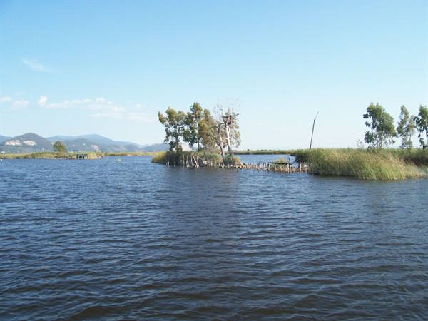 Lake Massaciuccoli nature reserve