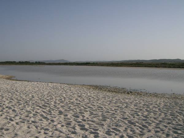The Saline