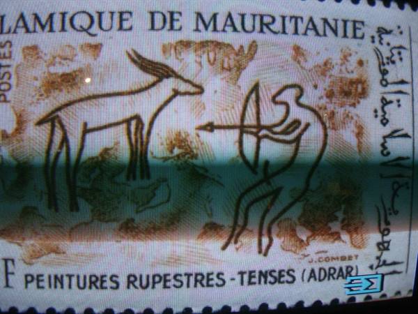 Terra Amata Museum