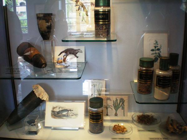 interior perfume museum