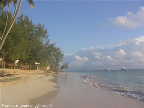 Pale sand beach with palm trees, moored boats and clouds
