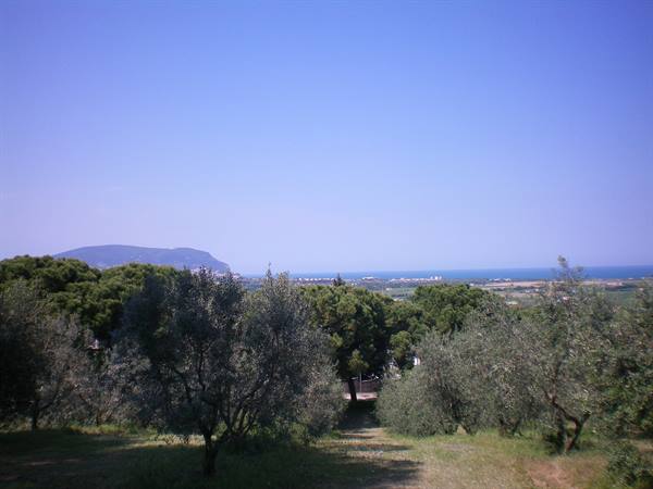 conero