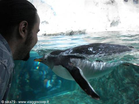 Genoa Aquarium