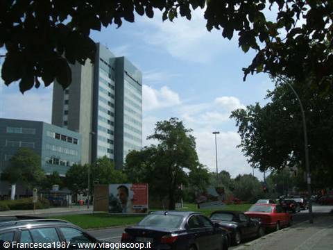 Glass skyscraper above trees and parked cars along the street