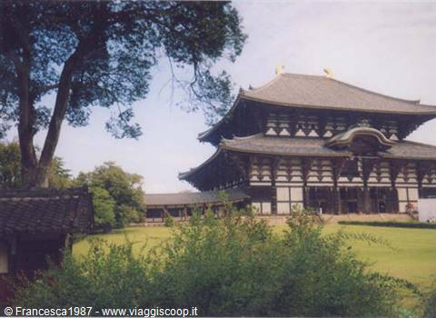 The great Todai-ji temple in Nara among trees and green lawn